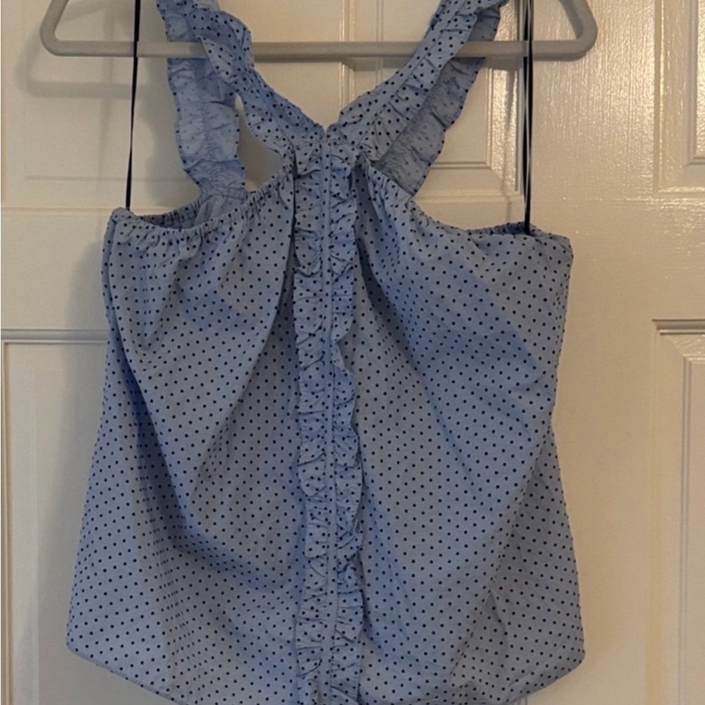 Waverly light blue Striped Polka Dot Blouse